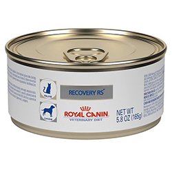 LATA DOG & CAT ROYAL CANIN RECOVERY 165 GR